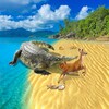 科普鸭